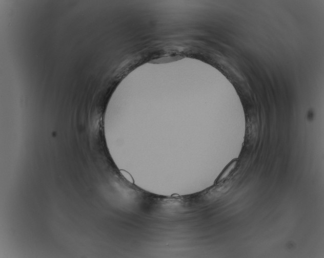 X0000094220574200711241724