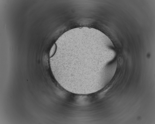 X0000094220575200711241724