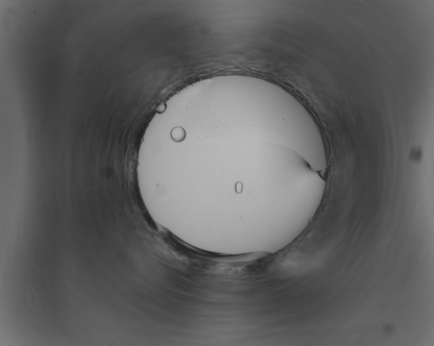 X0000094220576200711241724