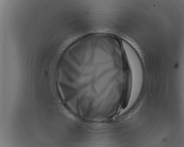 X0000094220577200711241724