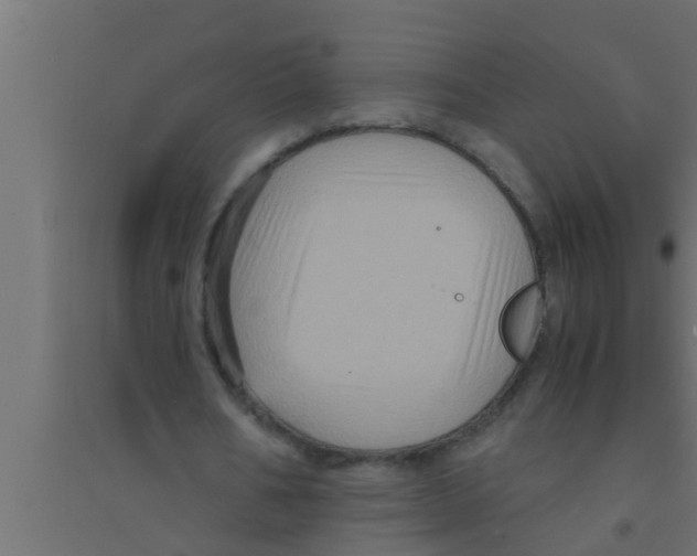 X0000094220578200711241723