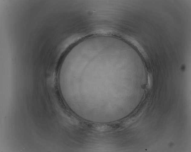 X0000094220579200711241723