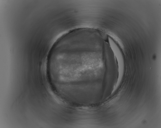 X0000094220580200711241723