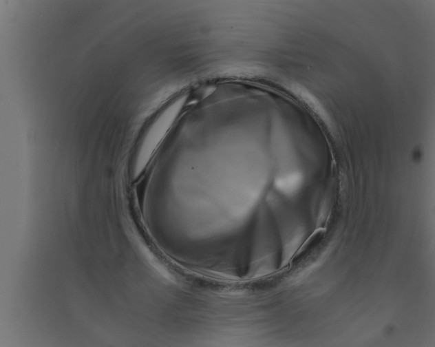 X0000094220581200711241723