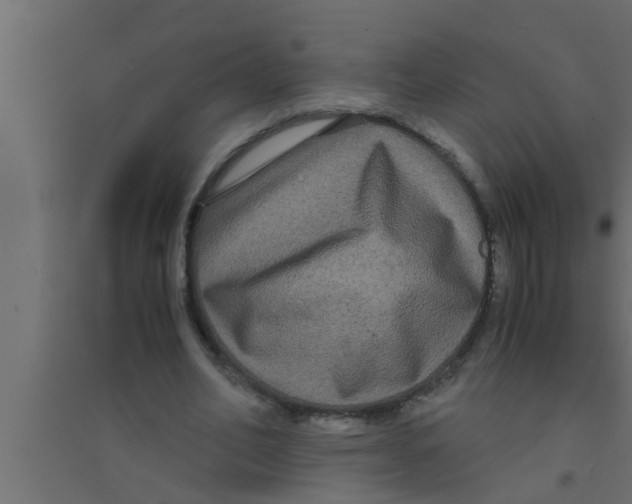 X0000094220582200711241723