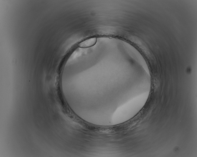 X0000094220583200711241723