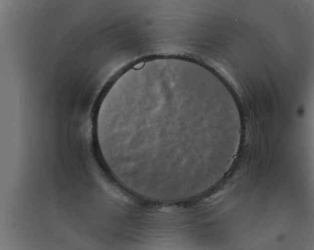 X0000094220584200711241723