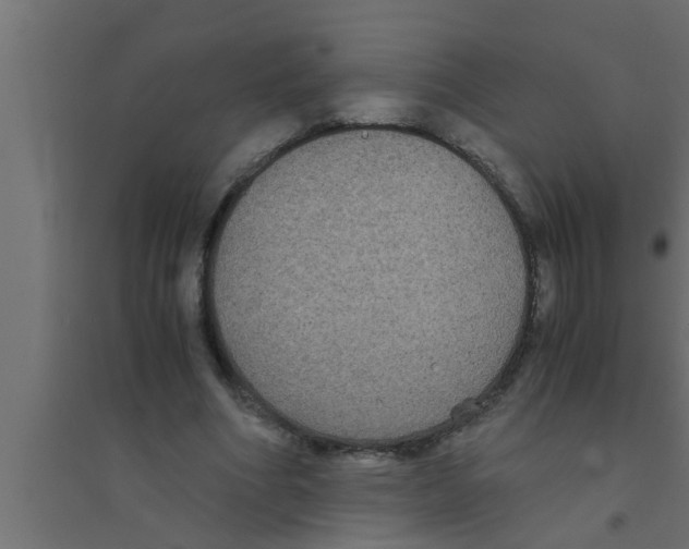 X0000094220586200711241723