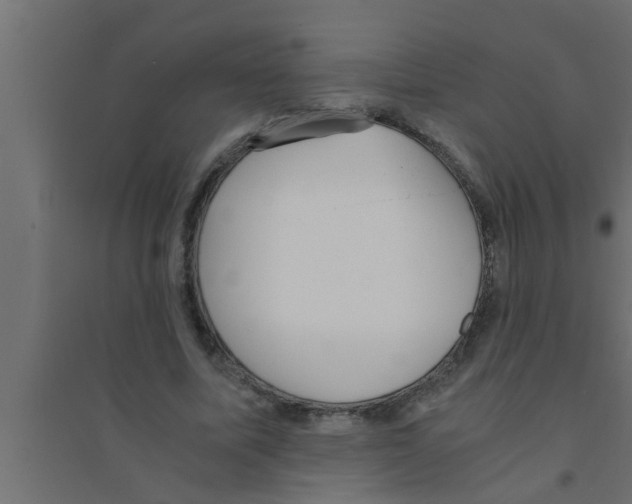 X0000094220587200711241723