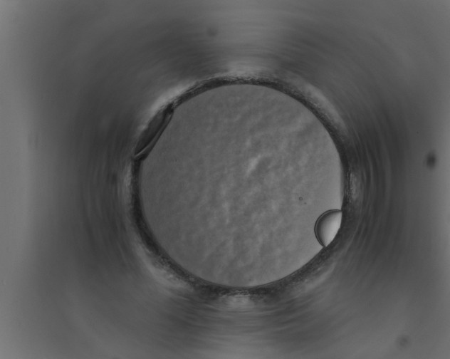 X0000094220588200711241723