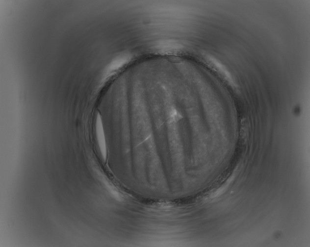 X0000094220589200711241723