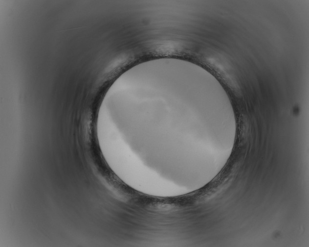 X0000094220590200711241723