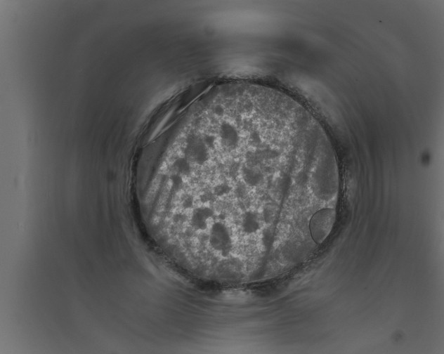 X0000094220591200711241723