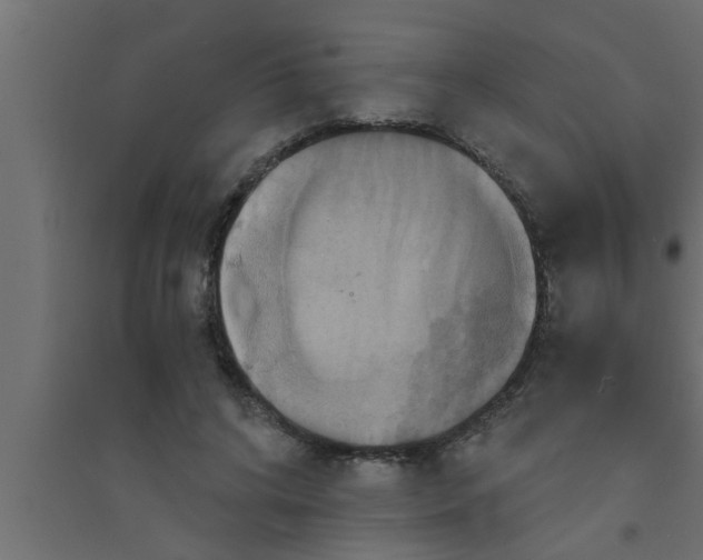 X0000094220592200711241723