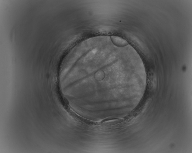 X0000094220593200711241723