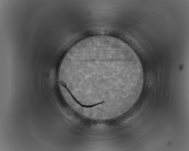 X0000094220594200711241723