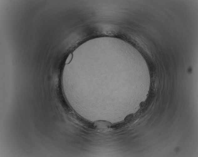 X0000094220595200711241723