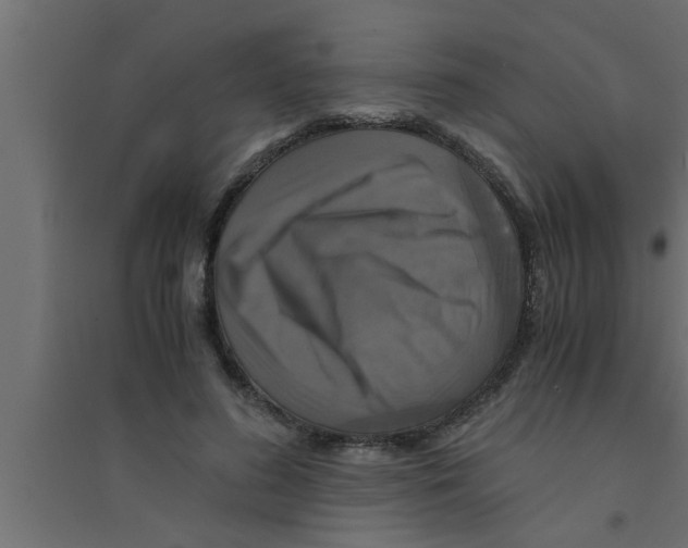 X0000094220596200711241723