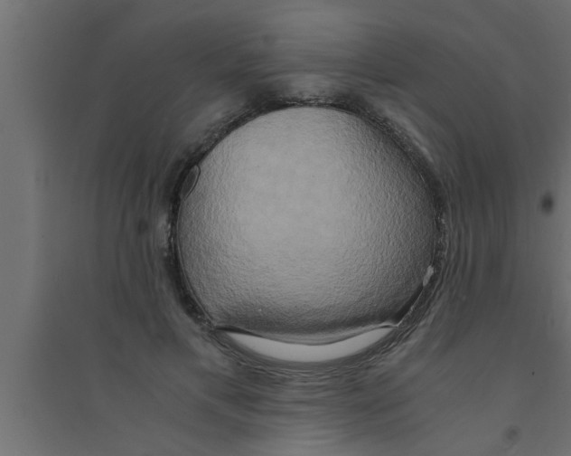 X0000094220597200711241723