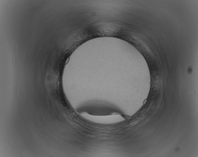 X0000094220599200711241723