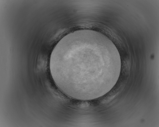 X0000094220600200711241723