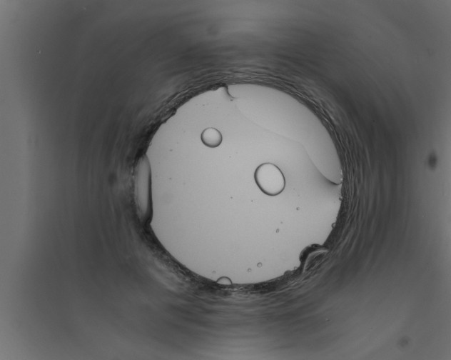 X0000094220601200711241723