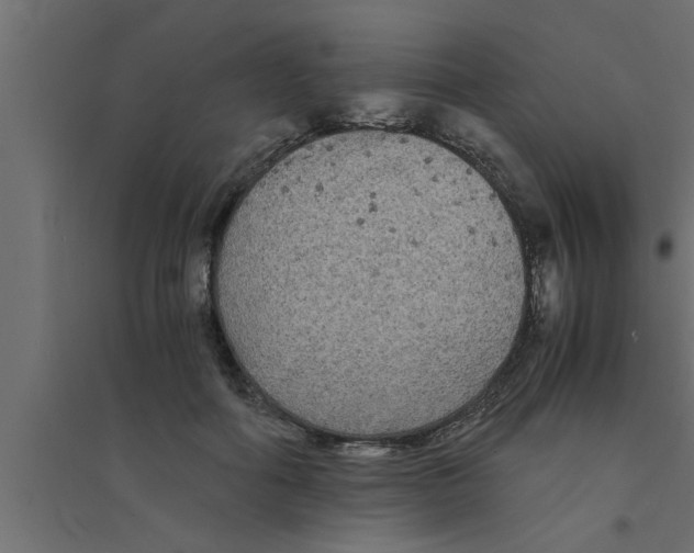 X0000094220602200711241723