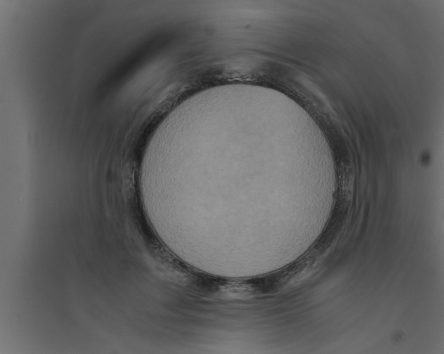 X0000094220603200711241723