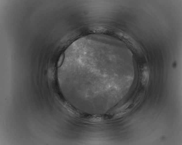 X0000094220604200711241723