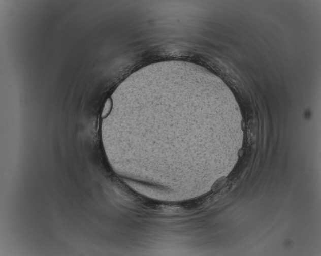 X0000094220605200711241723