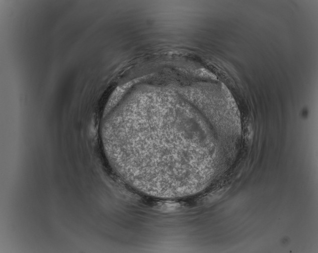 X0000094220607200711241723