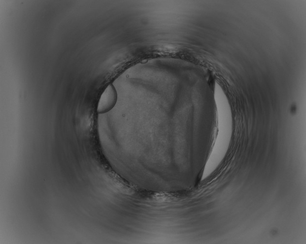 X0000094220608200711241723