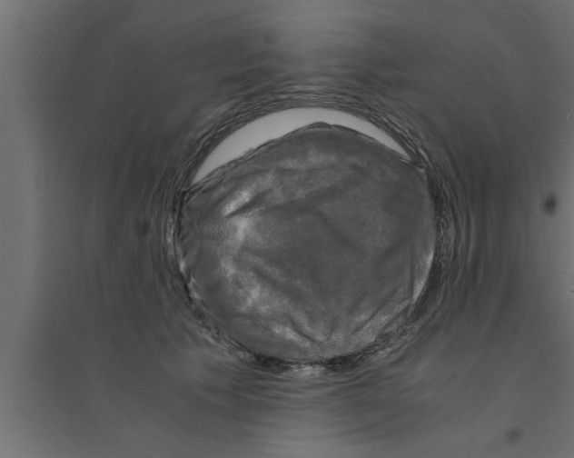 X0000094220609200711241723