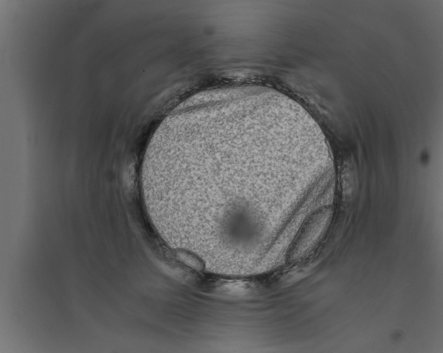 X0000094220611200711241723