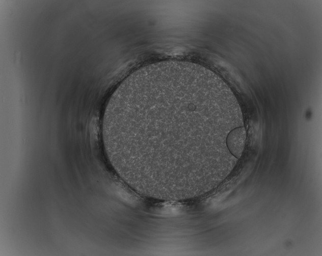 X0000094220612200711241723