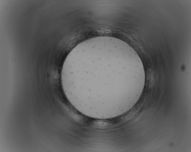 X0000094220614200711241723