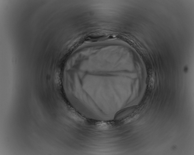 X0000094220616200711241723