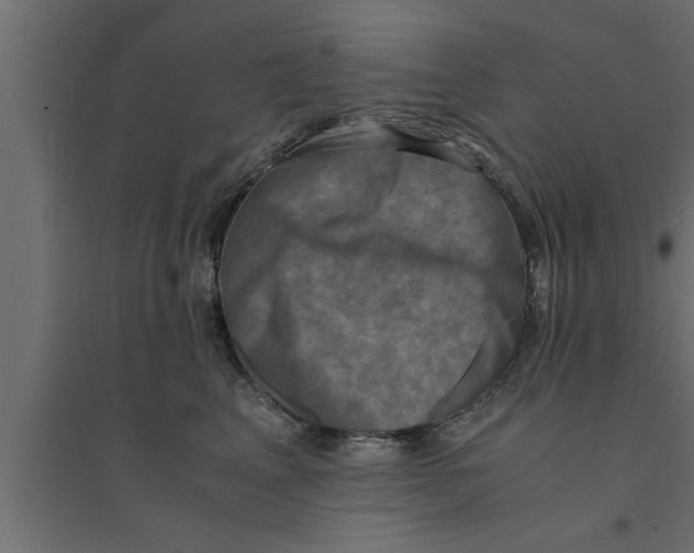 X0000094220617200711241723