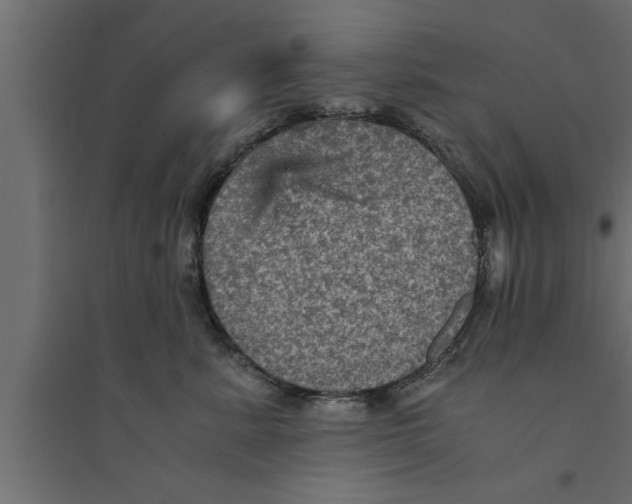 X0000094220619200711241723