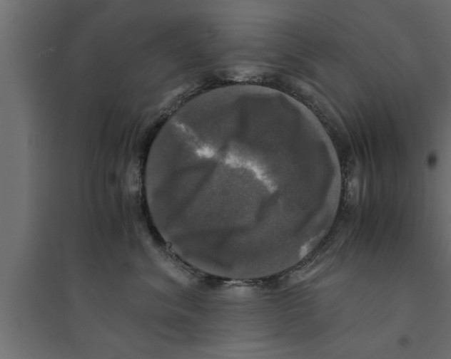 X0000094220620200711241723