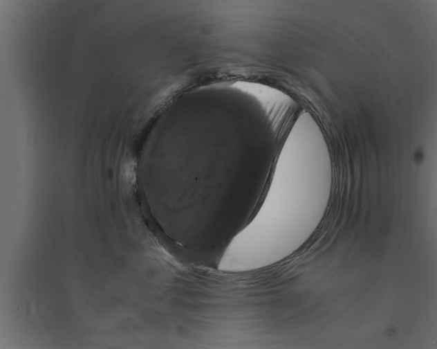 X0000094220621200711241723