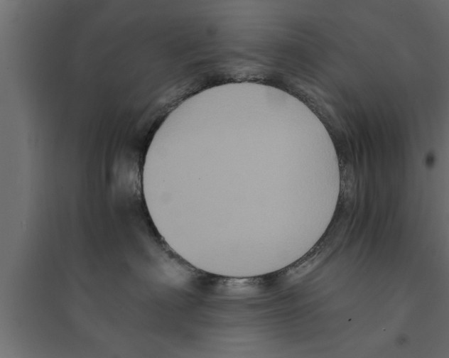 X0000094220622200711241723