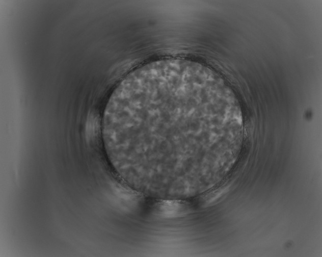 X0000094220623200711241723