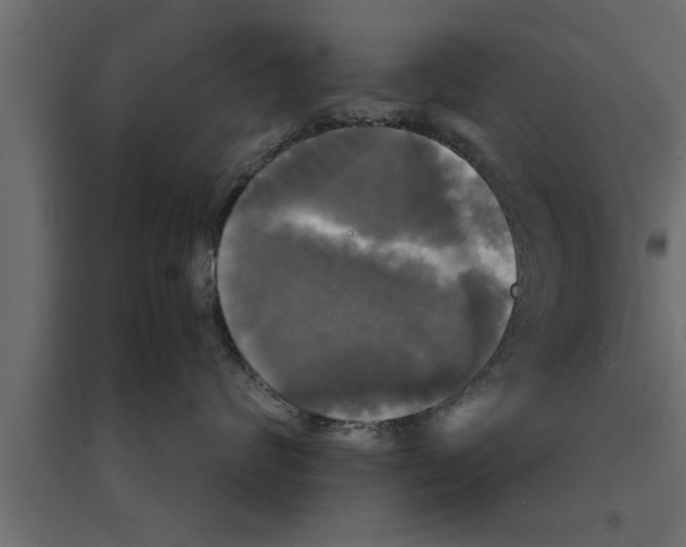 X0000094220624200711241723