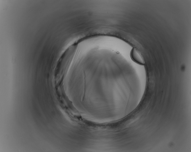 X0000094220626200711241722