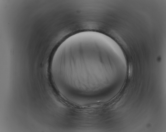 X0000094220627200711241722