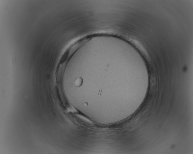 X0000094220628200711241722