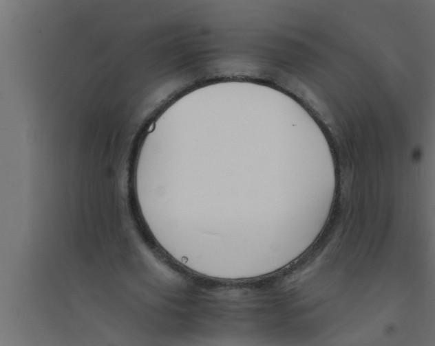 X0000094220629200711241722