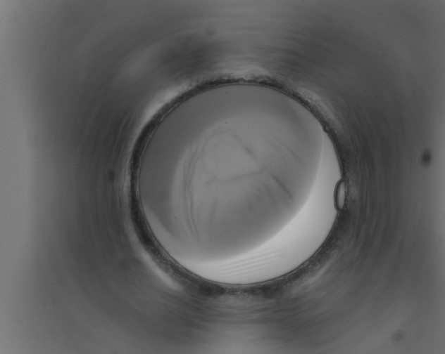 X0000094220630200711241722