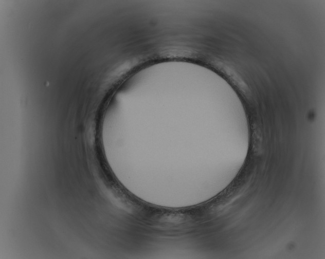 X0000094220631200711241722